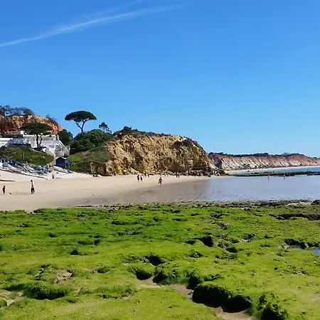 Vista Ondas - Ap Apartamento *