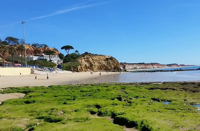 Vista Das Ondas - Ap Lejlighed *